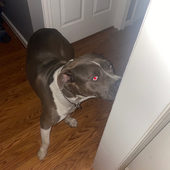 Meet your Posher, Chris - Picture 1 of 1